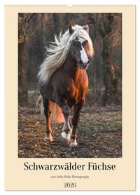 Produktbild: Schwarzw&auml;lder F&uuml;chse von Julia Hahn Photography (Wandkalender 2026 DIN A2 hoch), CALVENDO Monatskalender