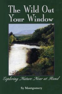 Produktbild: The Wild Out Your Window