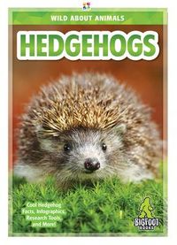 Produktbild: Hedgehogs