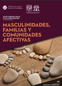 Produktbild: Masculinidades, familias y comunidades afectivas