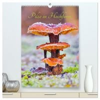 Produktbild: Pilze in Hochform (hochwertiger Premium Wandkalender 2026 DIN A2 hoch), Kunstdruck in Hochglanz