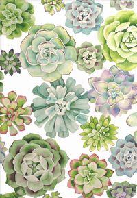 Produktbild: Succulent Garden Journal