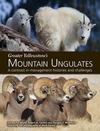 Produktbild: Greater Yellowstone's Mountain Ungulates