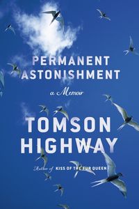 Produktbild: Highway, T: Permanent Astonishment
