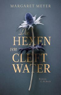 Produktbild: Die Hexen von Cleftwater