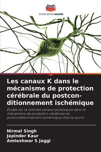 Produktbild: Les canaux K dans le m&eacute;canisme de protection c&eacute;r&eacute;brale du postcon-ditionnement isch&eacute;mique