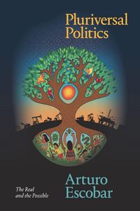 Produktbild: Pluriversal Politics