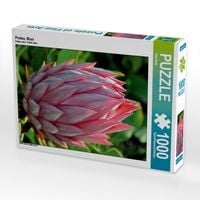 Produktbild: CALVENDO Puzzle Protea, Maui | 1000 Teile Lege-Gr&ouml;&szlig;e 64x48cm Foto-Puzzle f&uuml;r gl&uuml;ckliche Stunden