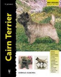 Produktbild: Cairn terrier
