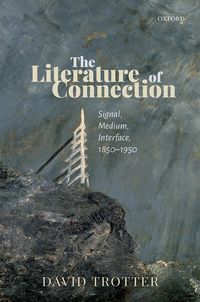 Produktbild: The Literature of Connection