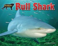 Produktbild: Bull Shark