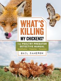 Produktbild: What's Killing My Chickens?