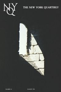 Produktbild: The New York Quarterly, Number 30