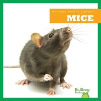 Produktbild: Mice