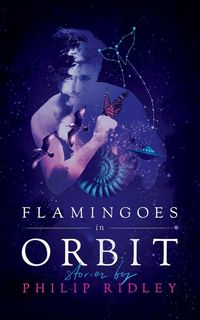 Produktbild: Flamingoes in ORBIT