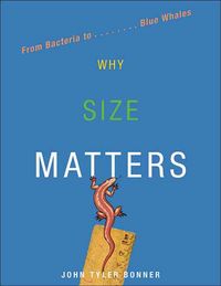 Produktbild: Why Size Matters
