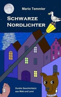Produktbild: Schwarze Nordlichter