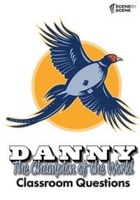 Produktbild: Danny the Champion of the World Classroom Questions