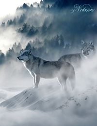 Produktbild: Fantasy Notizbuch: W&ouml;lfe im Nebel - wei&szlig;e Seiten mit Eckmotiv