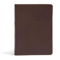 Produktbild: CSB She Reads Truth Bible, Brown Genuine Leather