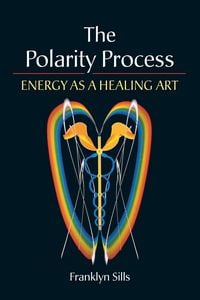 Produktbild: The Polarity Process