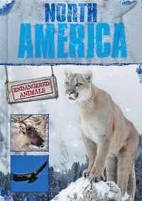 Produktbild: North America