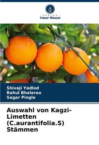 Produktbild: Auswahl von Kagzi-Limetten (C.aurantifolia.S) St&auml;mmen