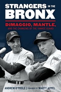 Produktbild: Strangers in the Bronx