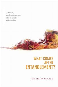 Produktbild: What Comes After Entanglement?