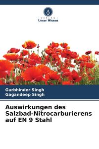 Produktbild: Auswirkungen des Salzbad-Nitrocarburierens auf EN 9 Stahl
