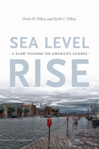 Produktbild: Sea Level Rise