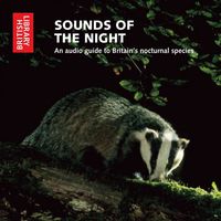 Produktbild: Sounds of the Night