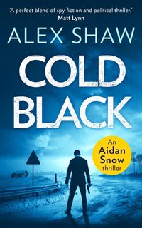 Bild vom Artikel Cold Black (An Aidan Snow SAS Thriller, Book 2) vom Autor Alex Shaw