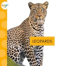 Produktbild: Leopards