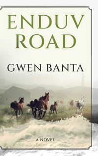 Produktbild: Enduv Road