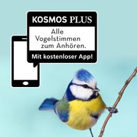 Welcher Gartenvogel ist das? Kindernaturführer