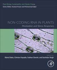 Produktbild: Non-Coding RNA in Plants