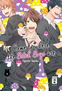 Produktbild: Come to where the Bitch Boys are 01