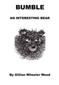 Produktbild: Bumble An Interesting Bear