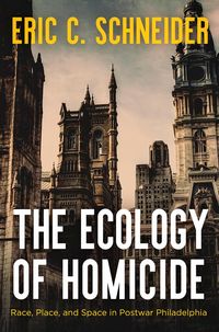 Produktbild: The Ecology of Homicide