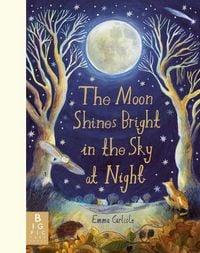 Produktbild: Moon Shines Bright in the Sky at Night