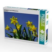 Produktbild: Osterglocken in der Fr&uuml;hlingssonne (Puzzle)