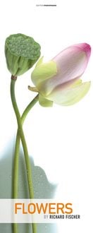Produktbild: Flowers