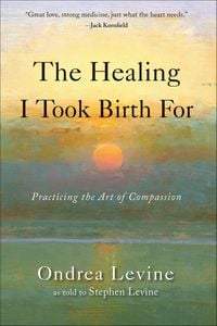 Produktbild: The Healing I Took Birth For