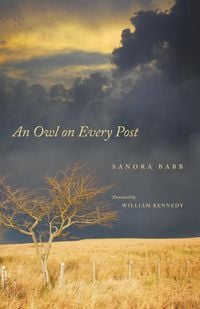 Produktbild: An Owl on Every Post