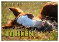 Produktbild: Fohlen - das Leben ist sch&ouml;n (Tischkalender 2027 DIN A5 quer), CALVENDO Monatskalender