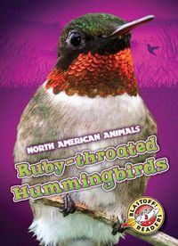 Produktbild: Ruby-Throated Hummingbirds