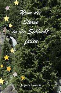Produktbild: Wenn die Sterne in die Schlucht fallen