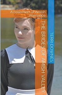 Produktbild: The Brides of Amish Valley