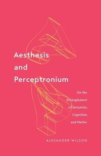 Produktbild: Wilson, A: Aesthesis and Perceptronium